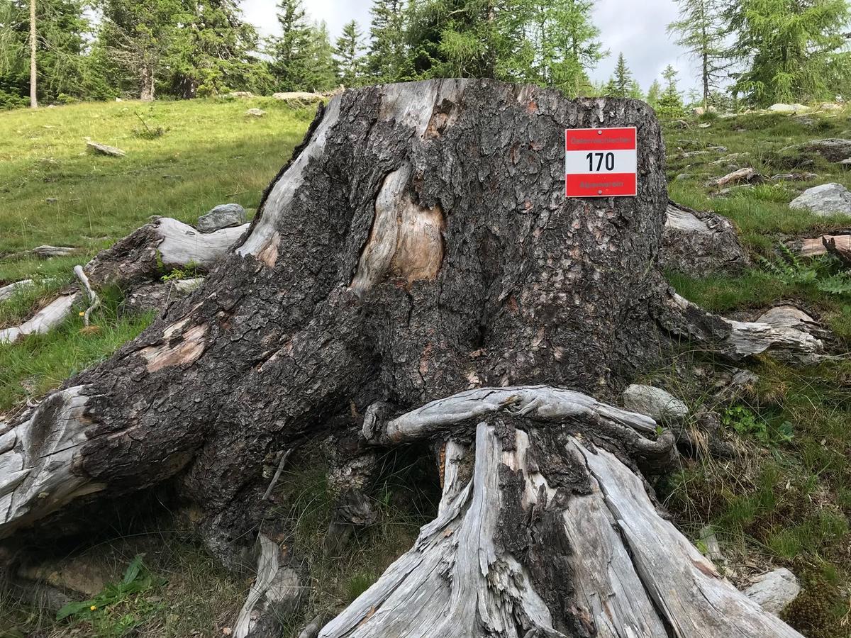 Simonbauerhof Bad Kleinkirchheim Exterior foto