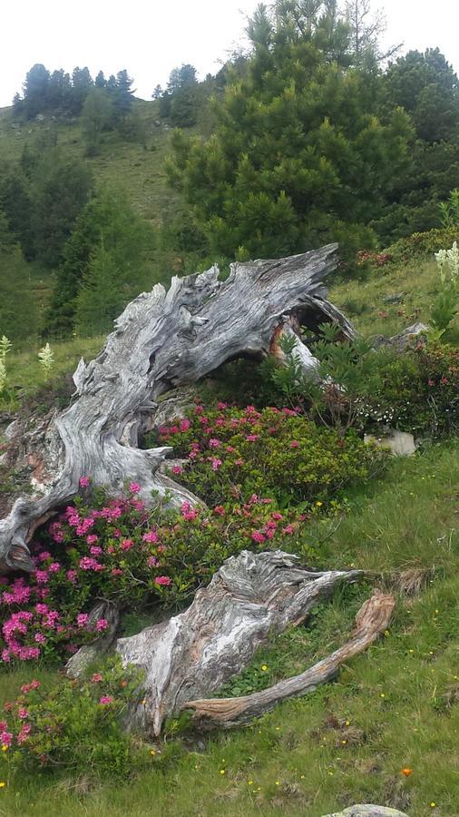 Simonbauerhof Bad Kleinkirchheim Exterior foto