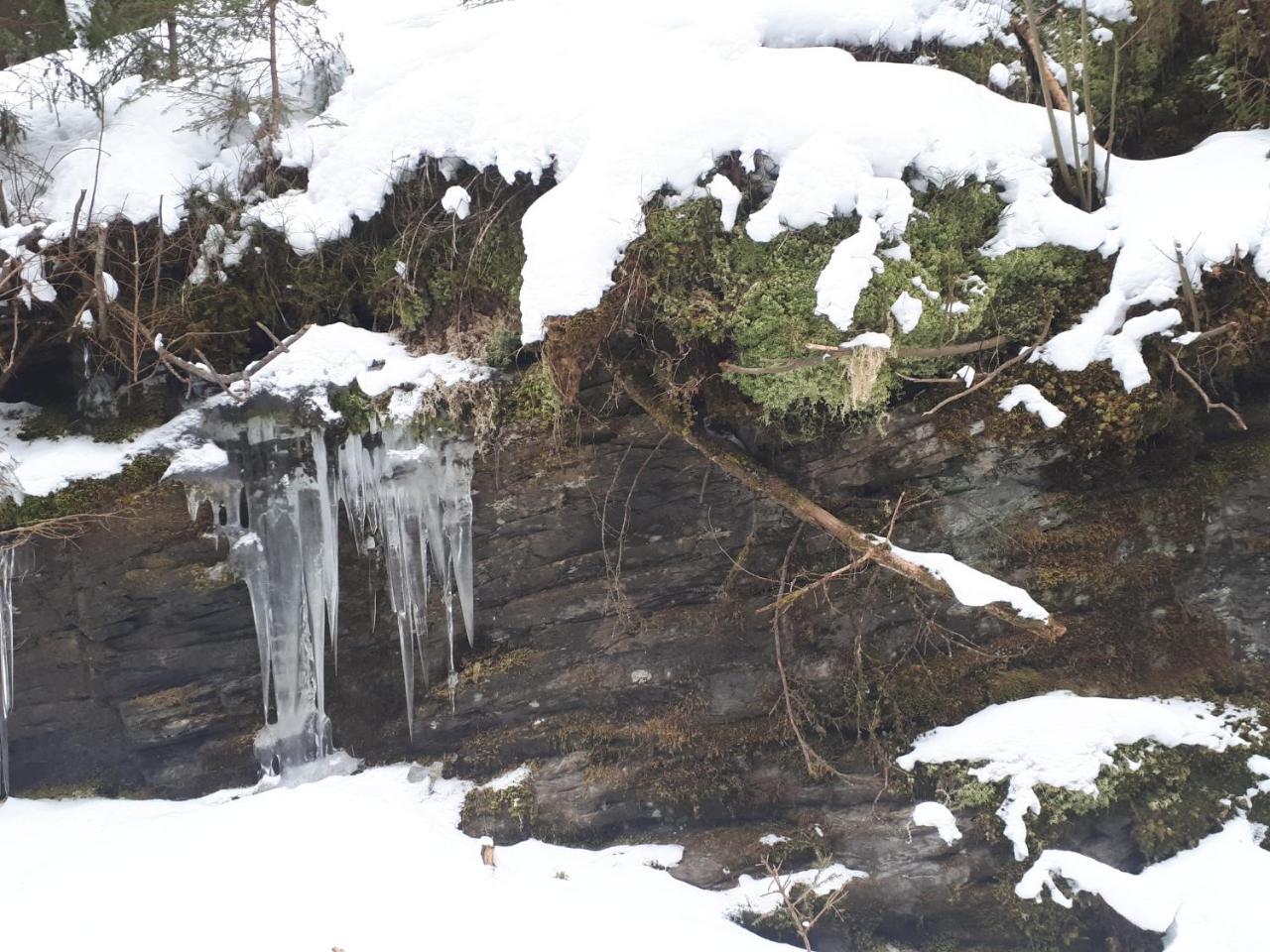 Simonbauerhof Bad Kleinkirchheim Exterior foto
