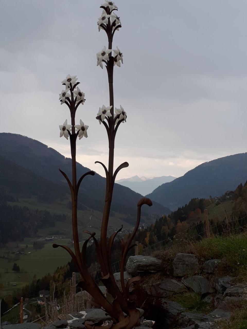 Simonbauerhof Bad Kleinkirchheim Exterior foto